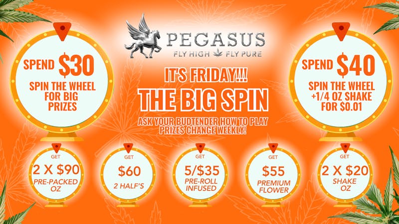 Pegasus “Fly High Fly Pure” THE BIG SPIN !!!