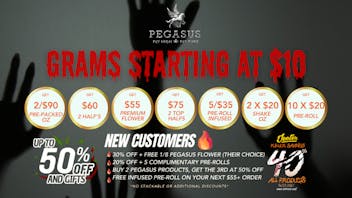 Pegasus “Fly High Fly Pure” FLY HIGH, SAVE BIG!
