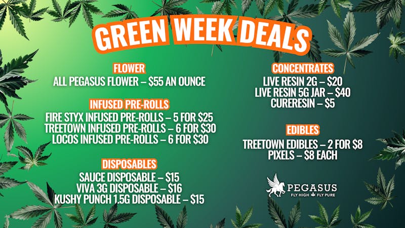 Pegasus “Fly High Fly Pure” 🔥 GREEN WEEK DEALS 💚
