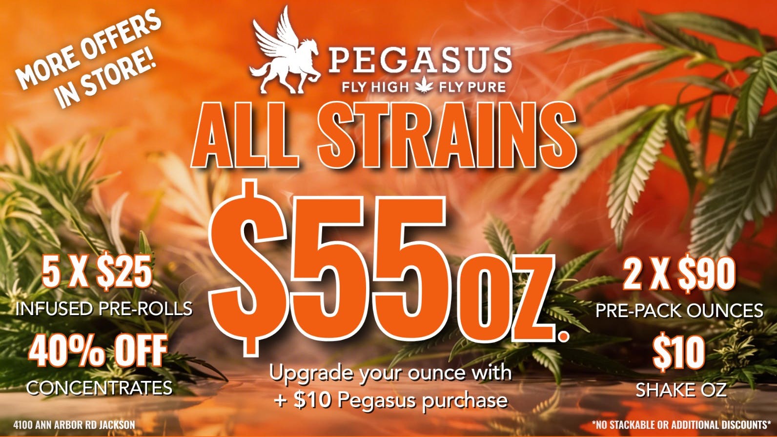 Pegasus “Fly High Fly Pure” $55 Takeoff Continues