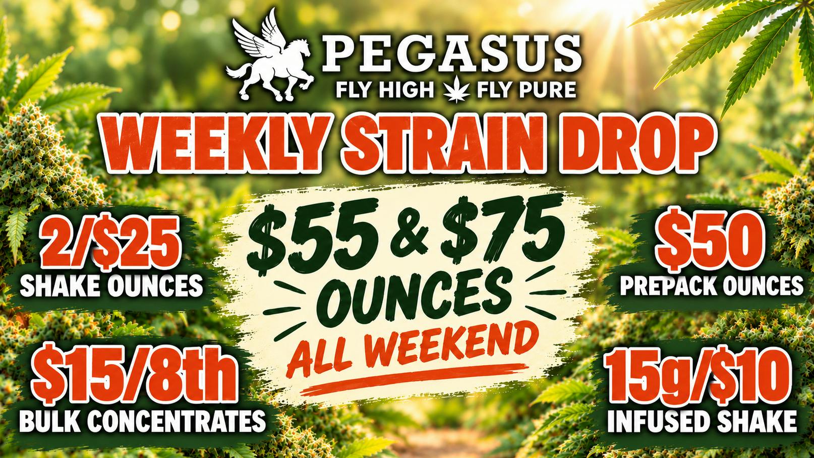 Pegasus “Fly High Fly Pure” FALL VIBES. FRESH DEALS.