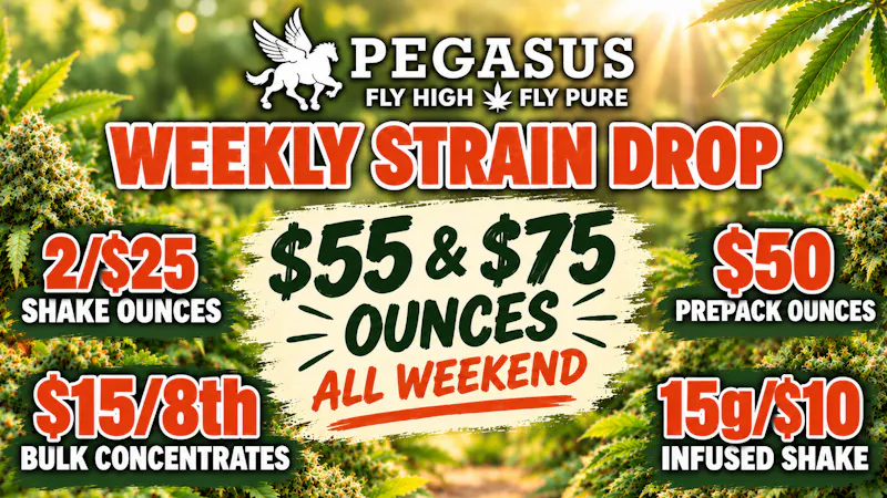 Pegasus “Fly High Fly Pure” FALL VIBES. FRESH DEALS.