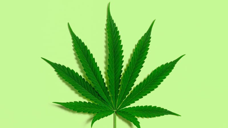 Mend Cannabis Co $55 Ounces of Discount Flower