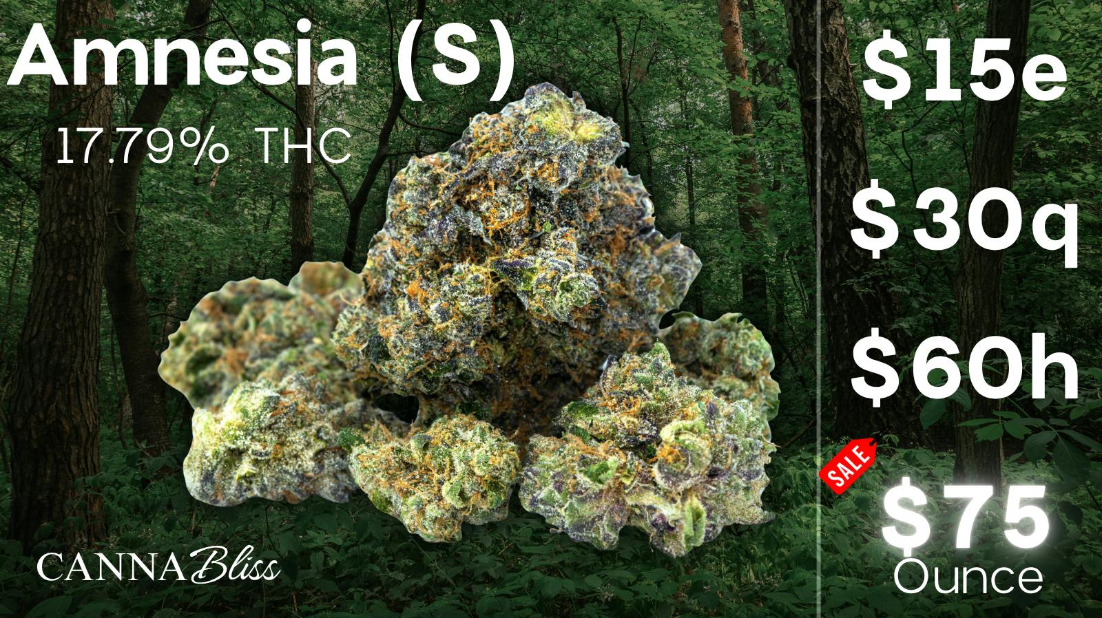 Cannabliss $15e | $30q | $60h | $75oz | Amnesia