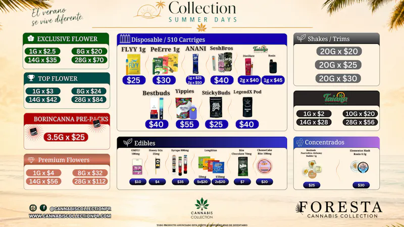 Foresta Cannabis Collection OFFERTAS EN FORESTA