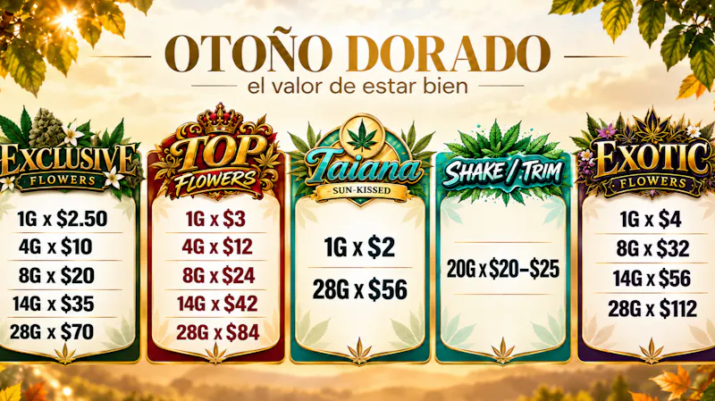 Foresta Cannabis Collection OFFERTAS EN FORESTA