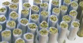 Evergreen Cannabis Co 1 GM PREROLLS - $6!