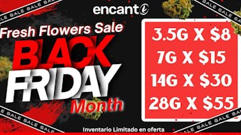 Encanto Tree - Aguadilla FLASH FLOWER DEALS