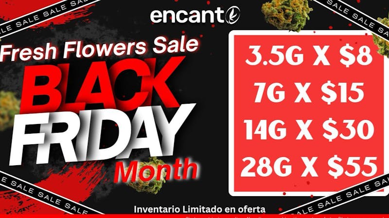 Encanto Tree - Aguadilla FLASH FLOWER DEALS