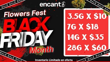 Encanto Tree - Aguadilla FEST FLOWER DEALS