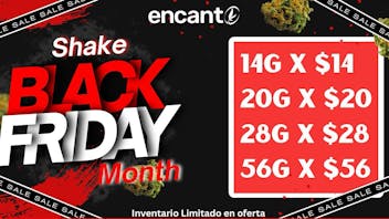 Encanto Tree - Aguadilla SHAKE HOUSE DEALS