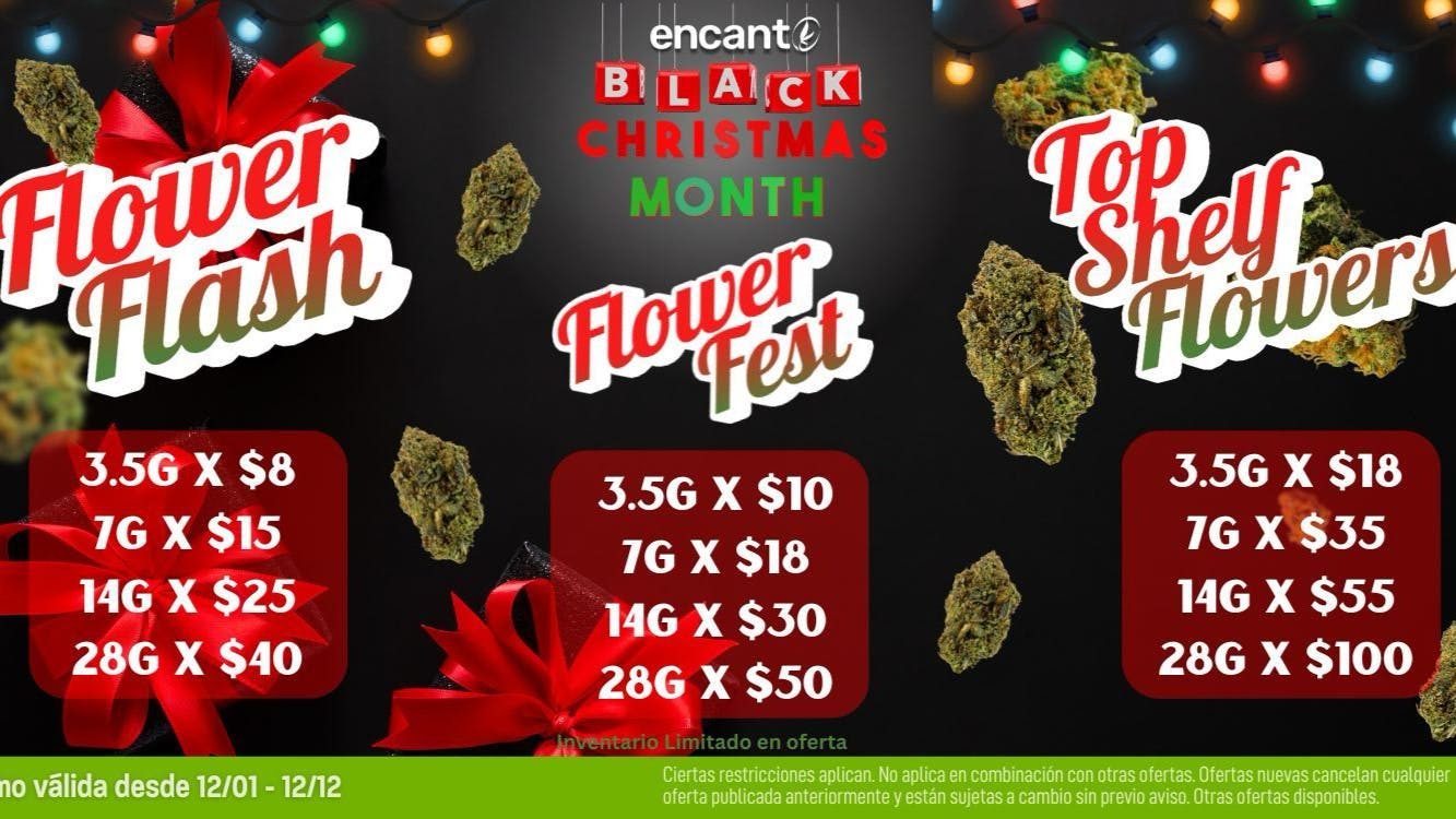 Encanto Tree - Aguadilla Los Mejores Precios