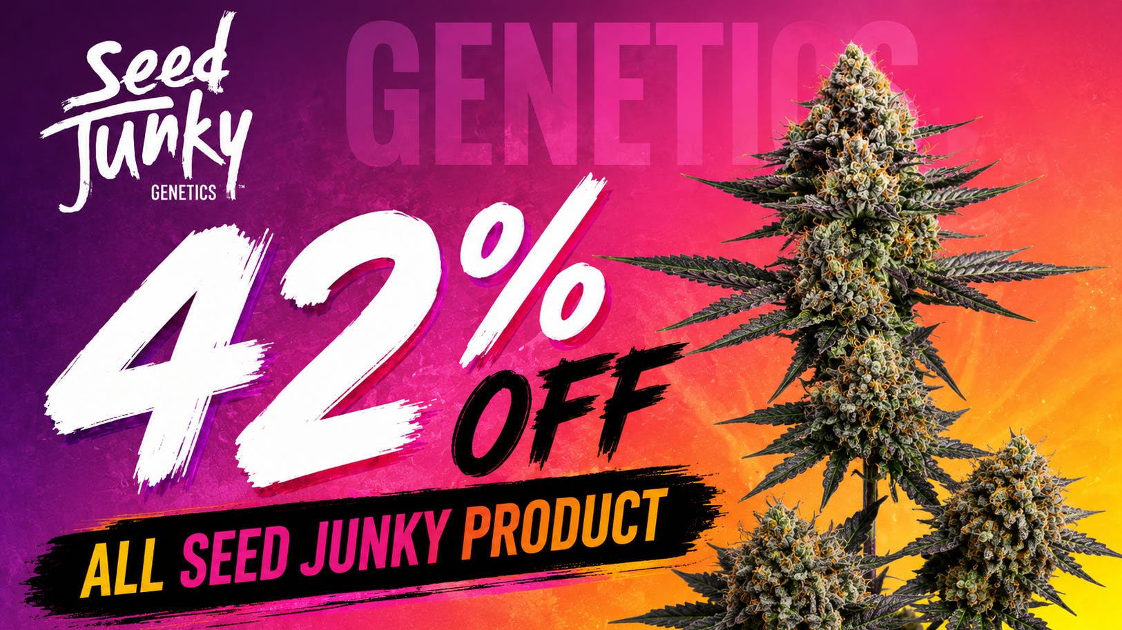 Dr Greenthumb's San Diego Seed Junky 42% off