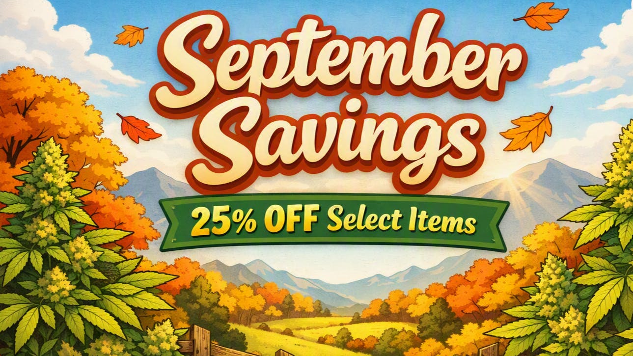 The Frost Factory September Savings