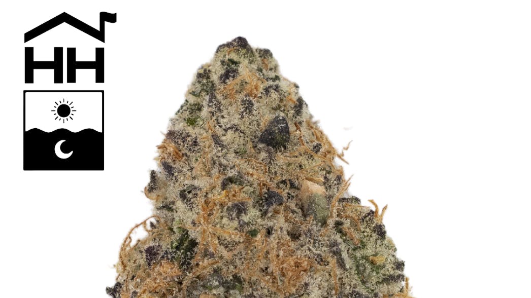 Salty Farmers 2 for $65 Harbor House 3.5g Eighths