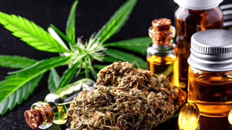 Happy Leaf 50% OFF SELECT TOP SHELF
