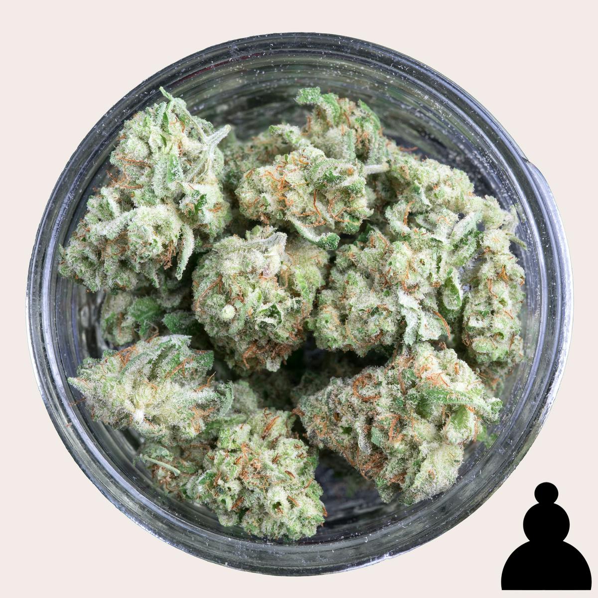 ♙ - Lodestar - Sour Lime Haze Smalls