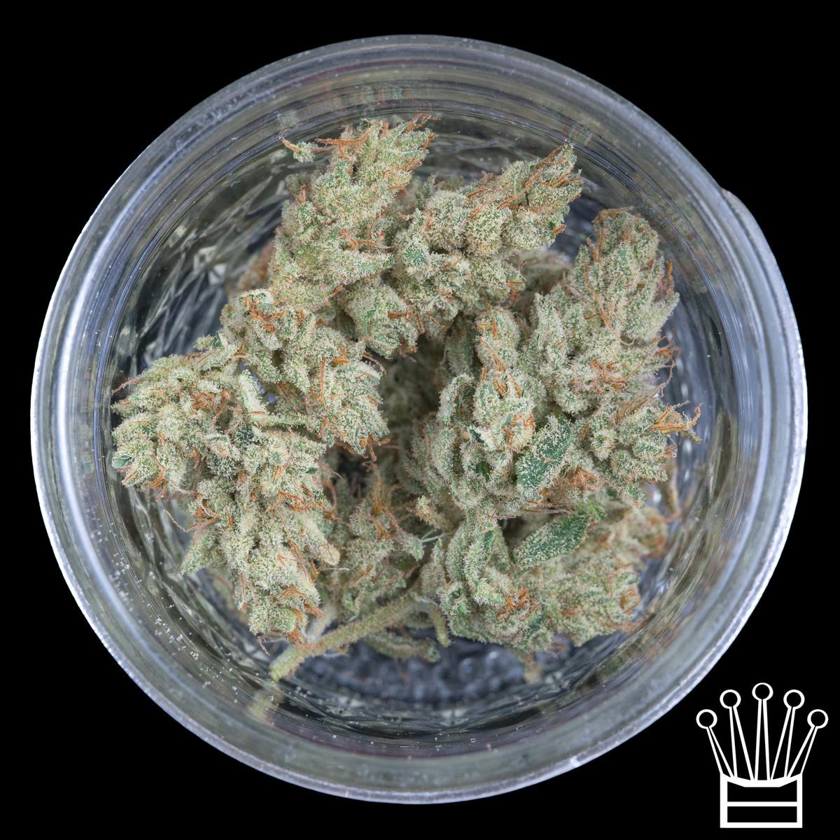 ♛ - Fuzzy Roots - Limeorilla
