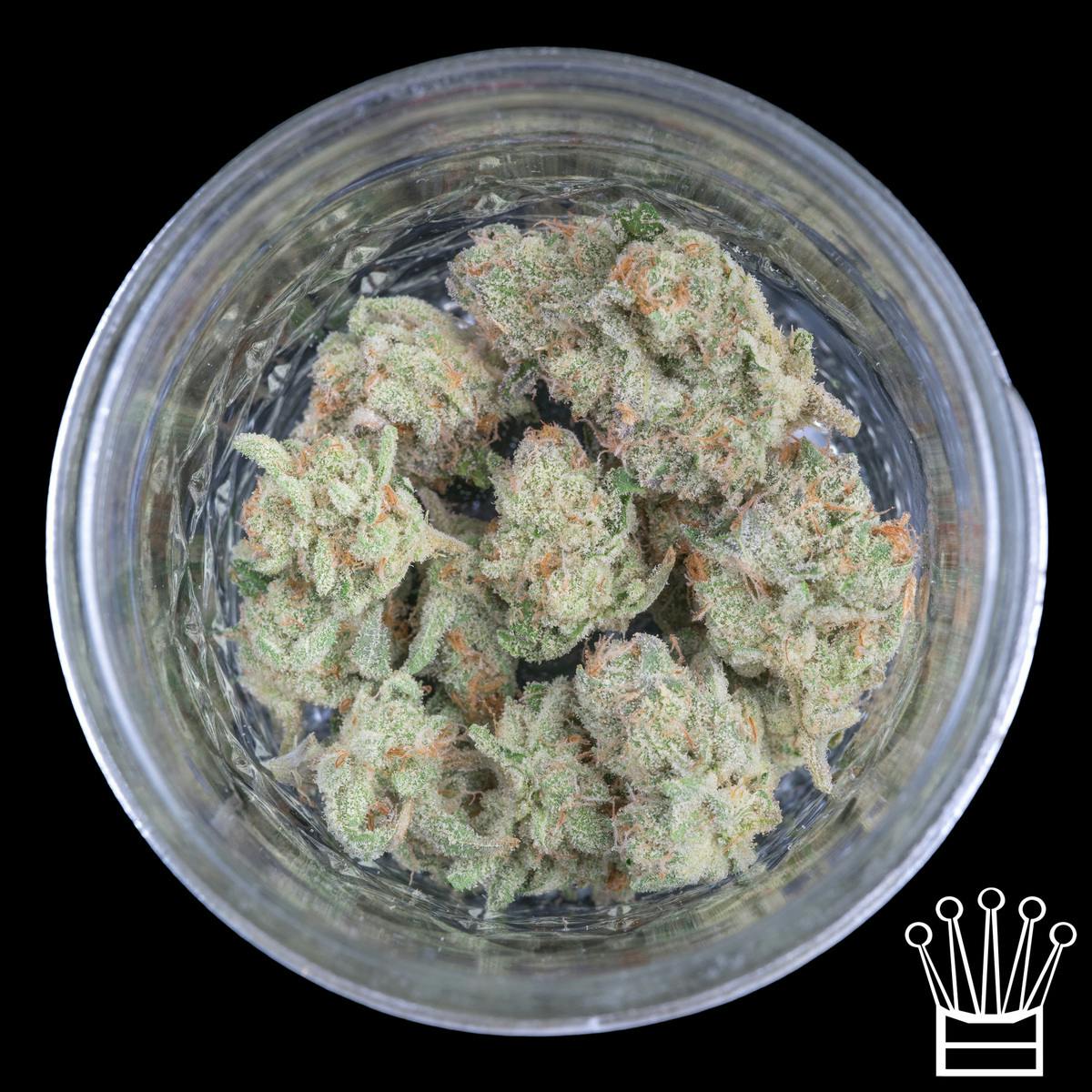 ♛ - Fuzzy Roots - Dirty Grapefruit