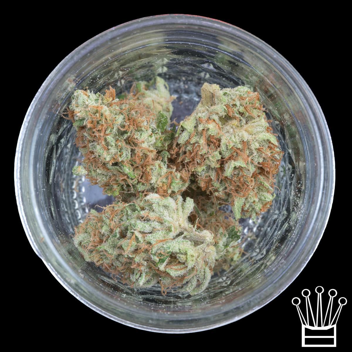 ♛ - FRAKTAL - Lavender Piff