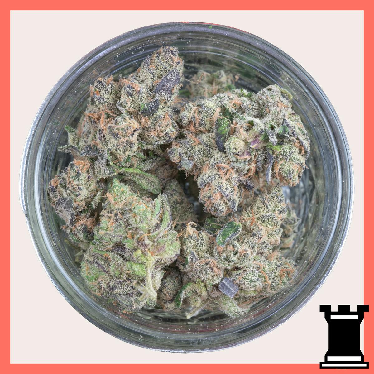 ♜ - FRAKTAL - Grape Gas