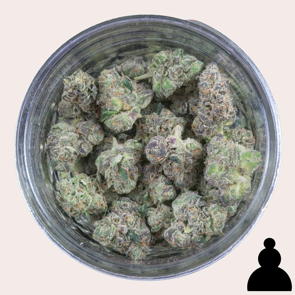 ♙- Maine Trees - Black Lobster Smalls