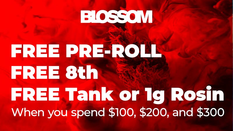 Blossom Cannabis - Saco Stash Up Saturday and Sunday