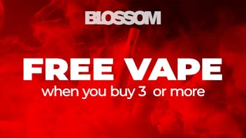 Blossom Cannabis - Biddeford Terpy Tuesday - Buy 3 Get 1 Vapes