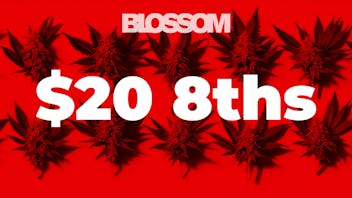 Blossom Cannabis - Biddeford Wicked Wednesday