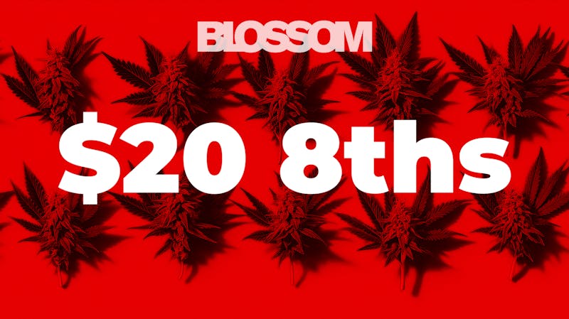 Blossom Cannabis - Saco Wicked Wednesday