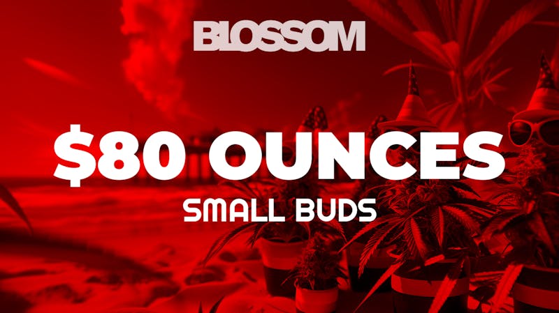 Blossom Cannabis - Saco $45 Half Ounces | $80 Full Ounces - Small Buds