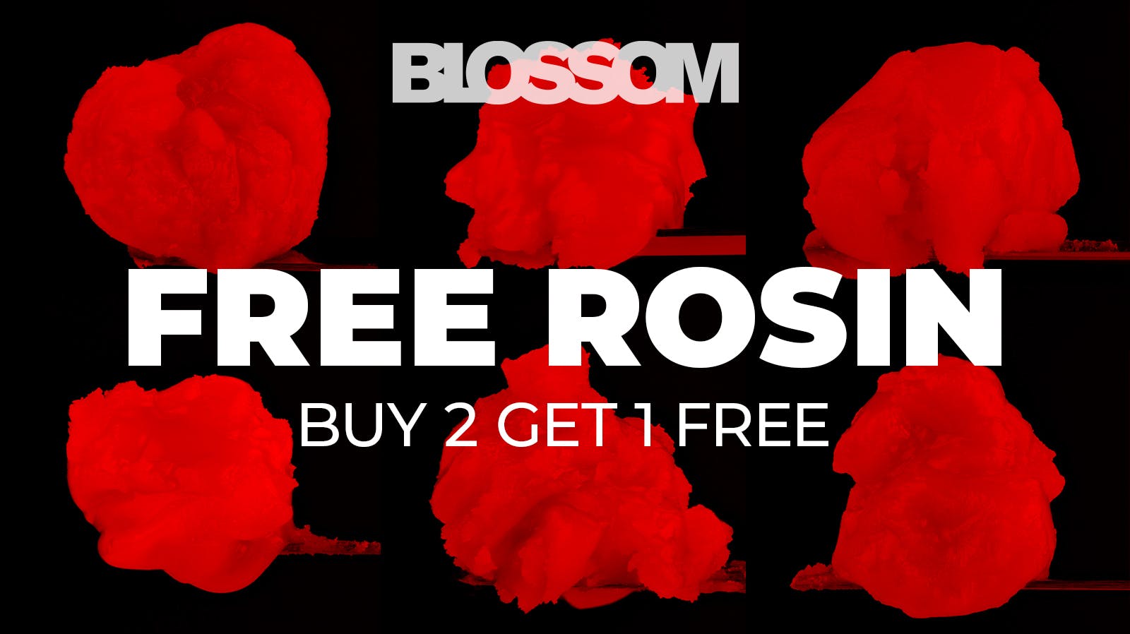 Blossom Cannabis - South Portland 💎 B2G1 – Marmalade Melts Rosin