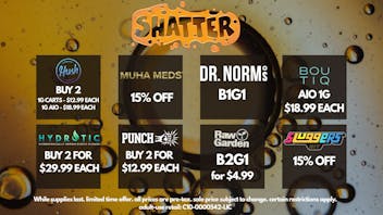Shatter SUMMERTIME SALES AT SHATTER!