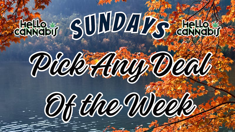 Hello Cannabis - Vista Pick A Deal Any Deal