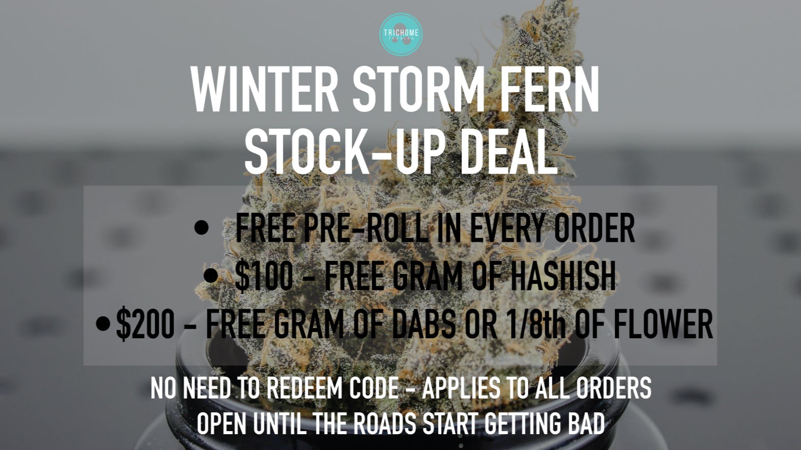 Trichome Traders - Delivery Winter Storm Fern Stock-up Deal
