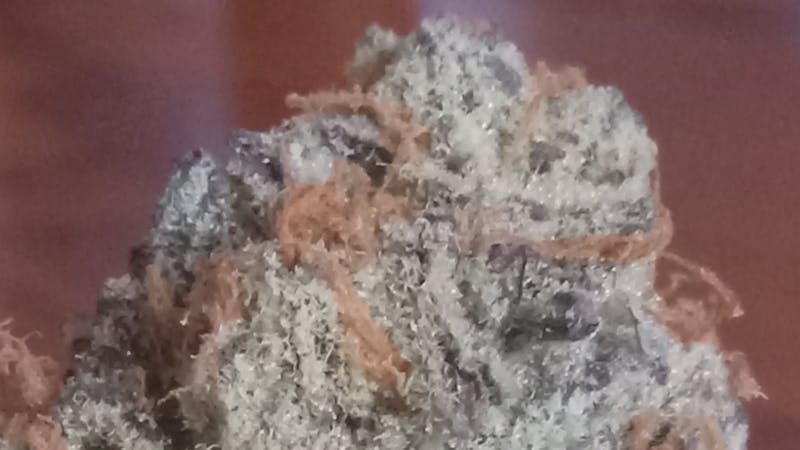 Joint Effort $100 Dollar OZ/$60 Dollar 1/2 OZ!