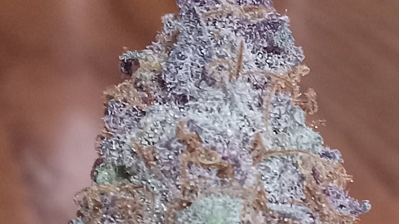 Joint Effort $100 Dollar OZ/$60 Dollar Half OZ! Mix and Match!