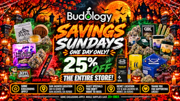 Budology BUDOLOGY SAVINGS SUNDAYS!!!