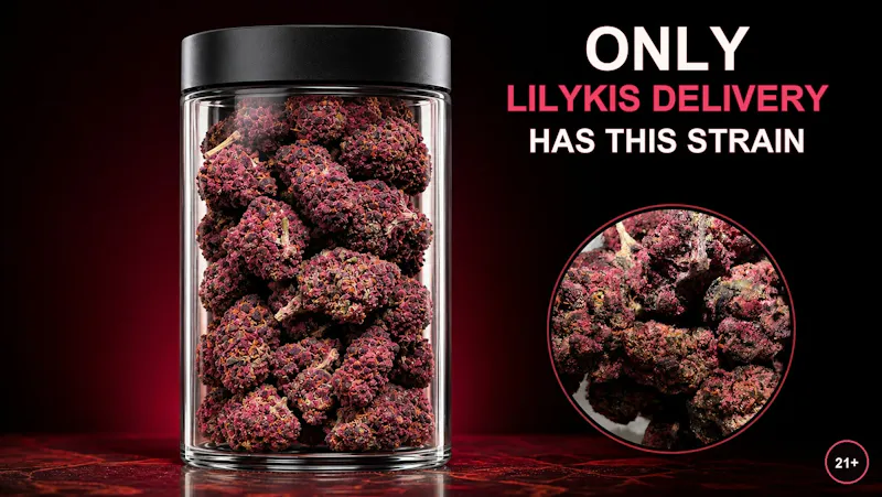 Lilykis Delivery 💥NEW STRAIN💥SUGAR BLOOD💥EXCLUSIVE💥14G 50$