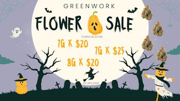 Greenwork GREENWORK HALLOWEEN SALE