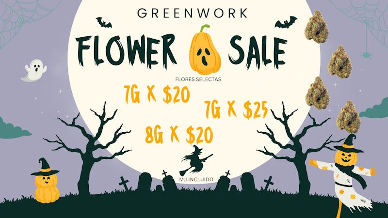 Greenwork GREENWORK HALLOWEEN SALE