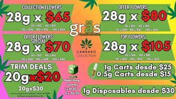 Gräs Cannabis Collection Dado 15mg-$1.50 | 28gX$65 | 28gX$70 | 1g Cart $25
