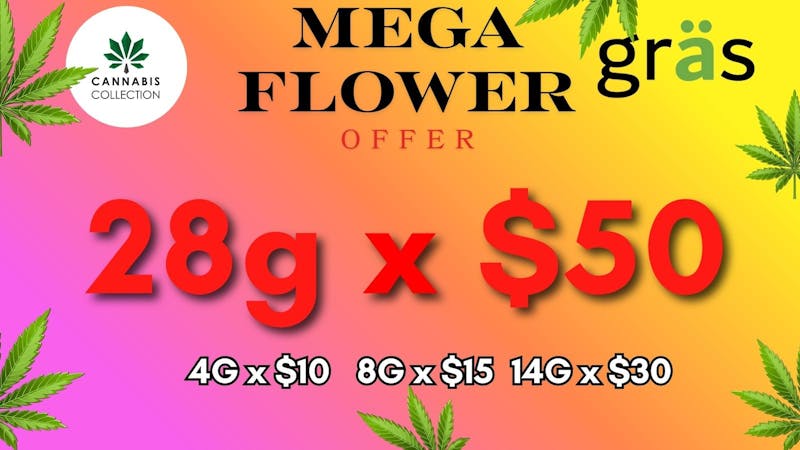 Gräs Cannabis Collection 28g x $50 | EL MEGA OFERTON