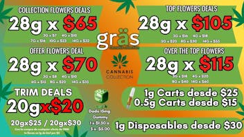 Gräs Cannabis Collection Dado 15mg-$1.50 | 28gX$65 | 28gX$70 | 1g Cart $25
