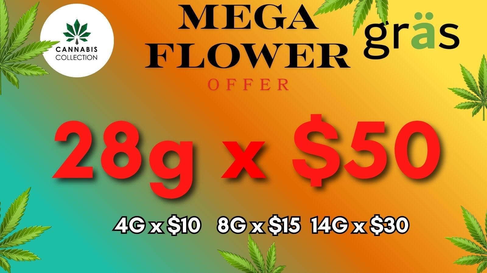 Gräs Cannabis Collection 28g x $50 | EL MEGA OFERTON