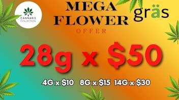 Gräs Cannabis Collection 28g x $50 | EL MEGA OFERTON