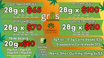 Gräs Cannabis Collection Dado 15mg-$1.50 | 28gX$65 | 28gX$70 | 1g Cart $25