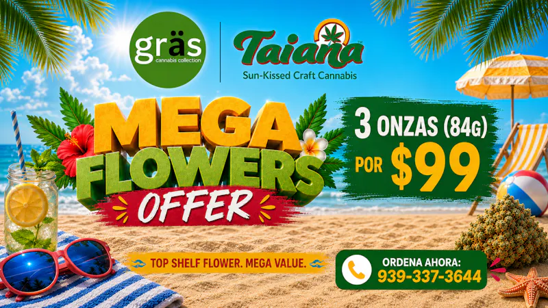 Gräs Cannabis Collection 3 onzas (84g) de Mega Flowers - Taiana x $99🔥