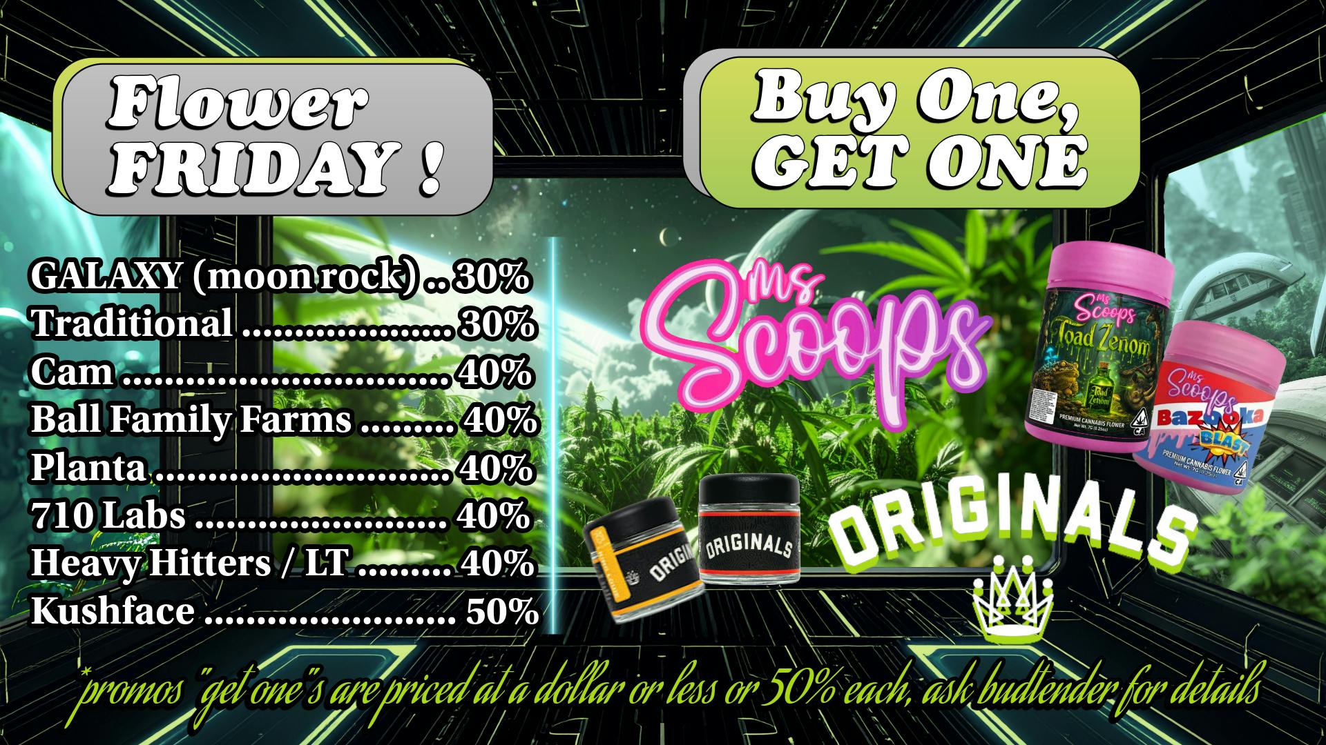 Plant Galaxy Flower Friday: Discounts and BOGOs