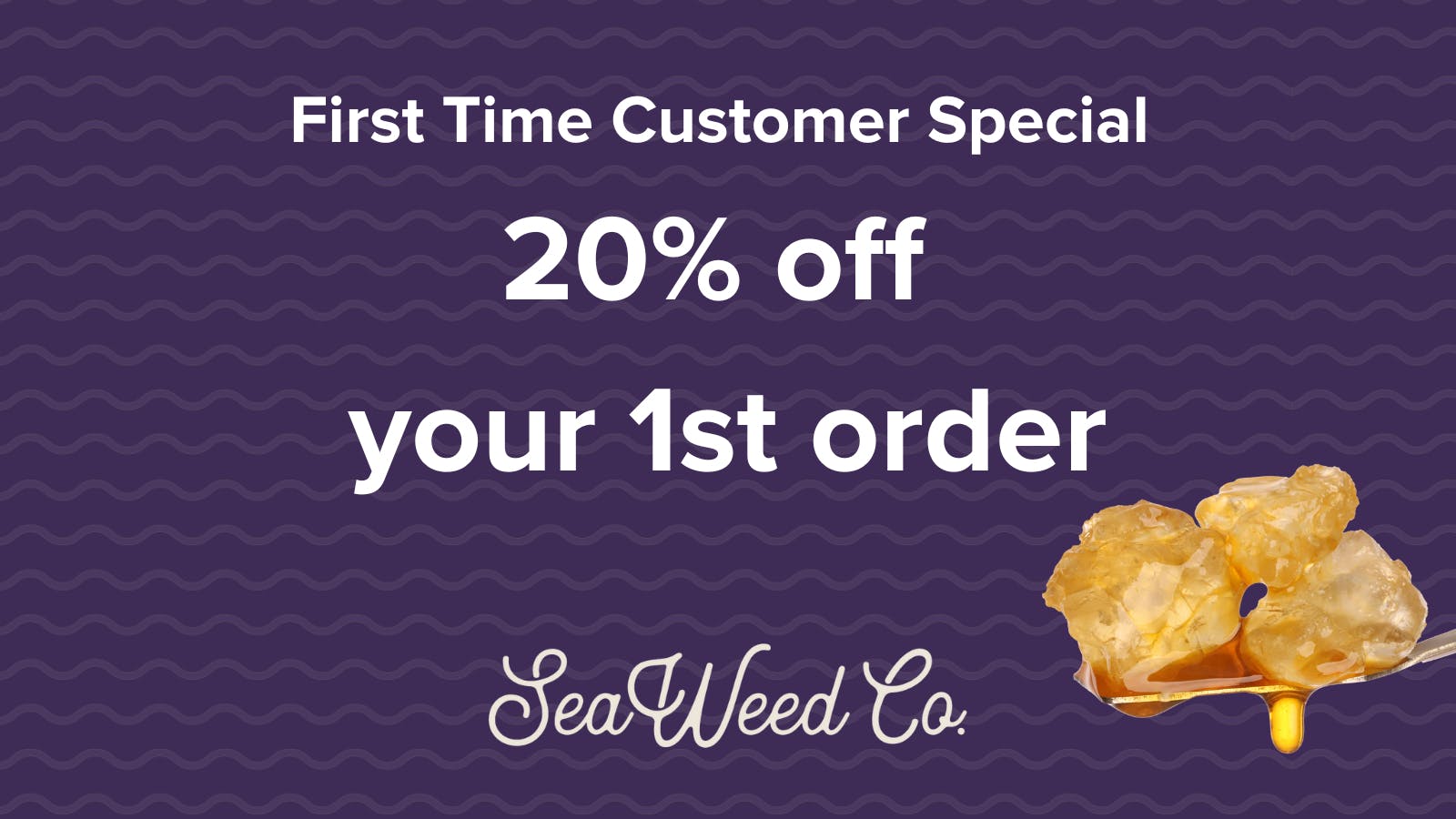 SeaWeed Co - Portland 20% Off - First Time Customer Special!!